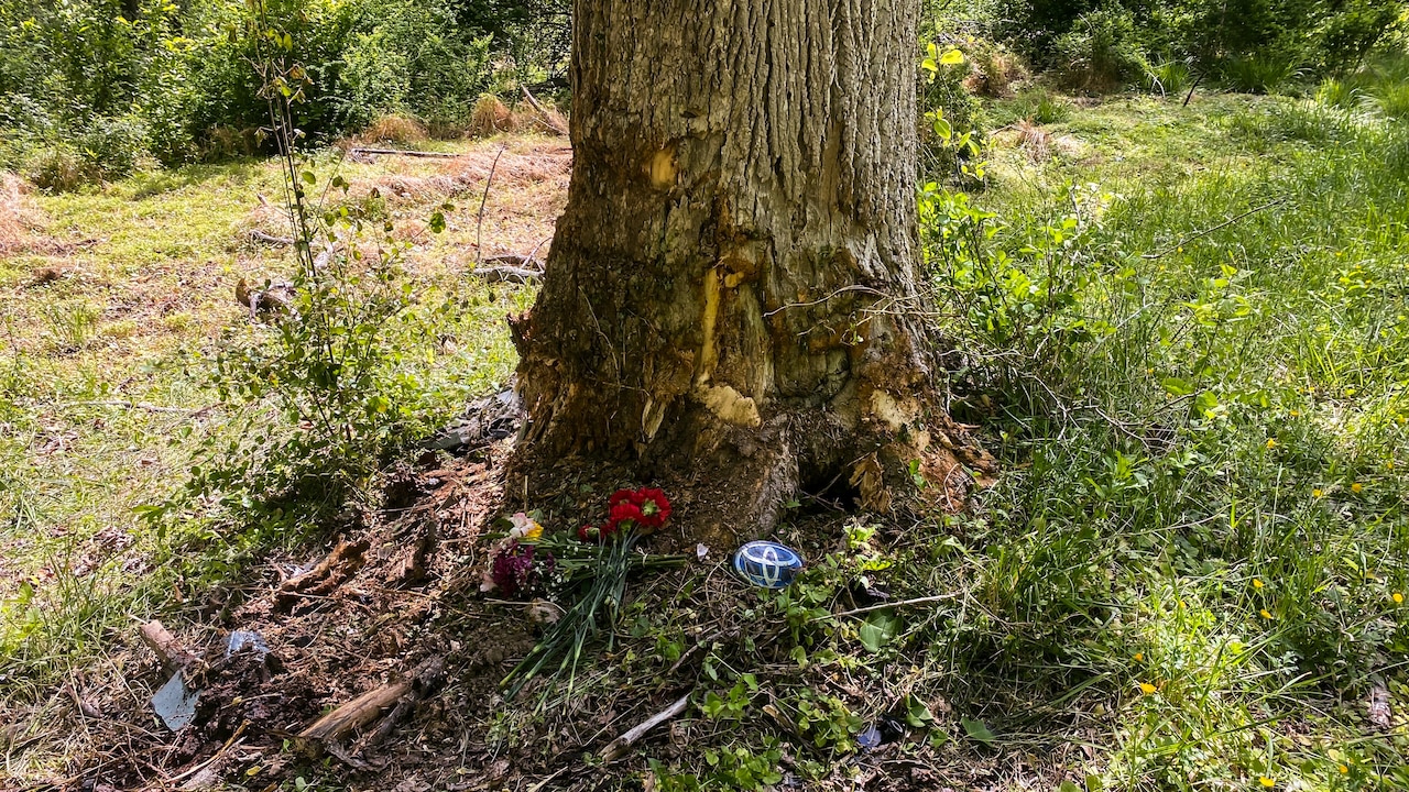 Cockeysville crash: Andrew Sober, 16, ID’d as second teen killed - The ...