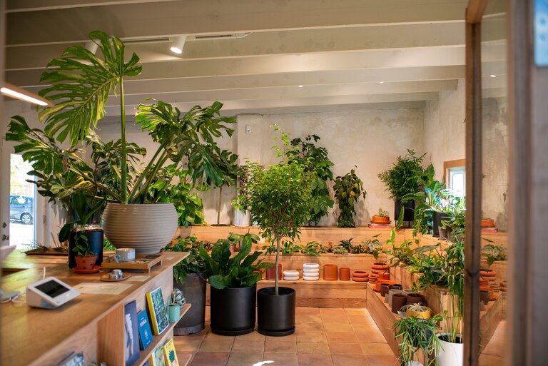 The inside of green neighbor, a collaboration between the owner of good neighbor and Hilton Carter, in Hampden.