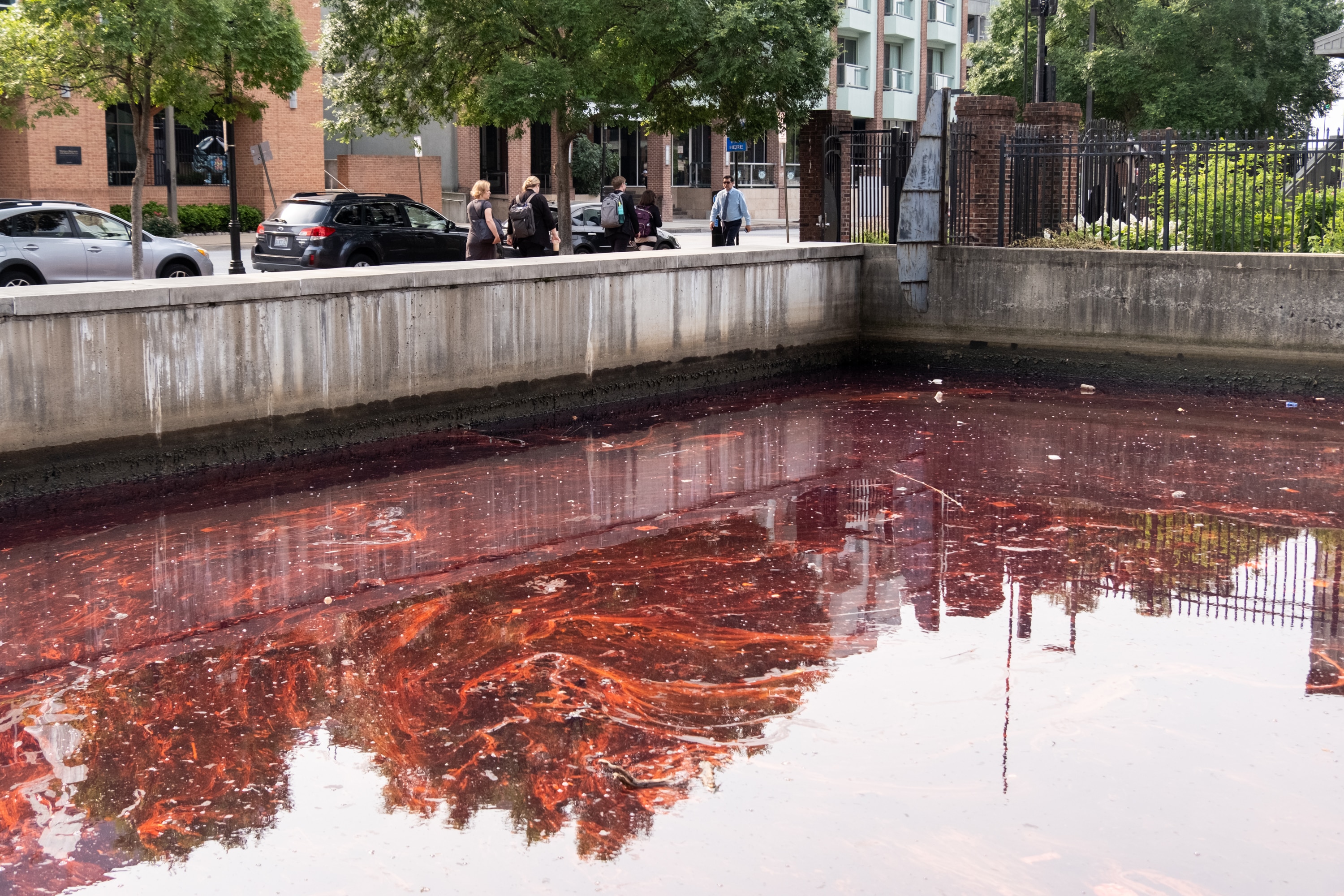 People walk past the end of the Lancaster Street Canal as bright-colored oil covers the water on Thursday, June 5, 2025, after an oil spill on Wednesday.