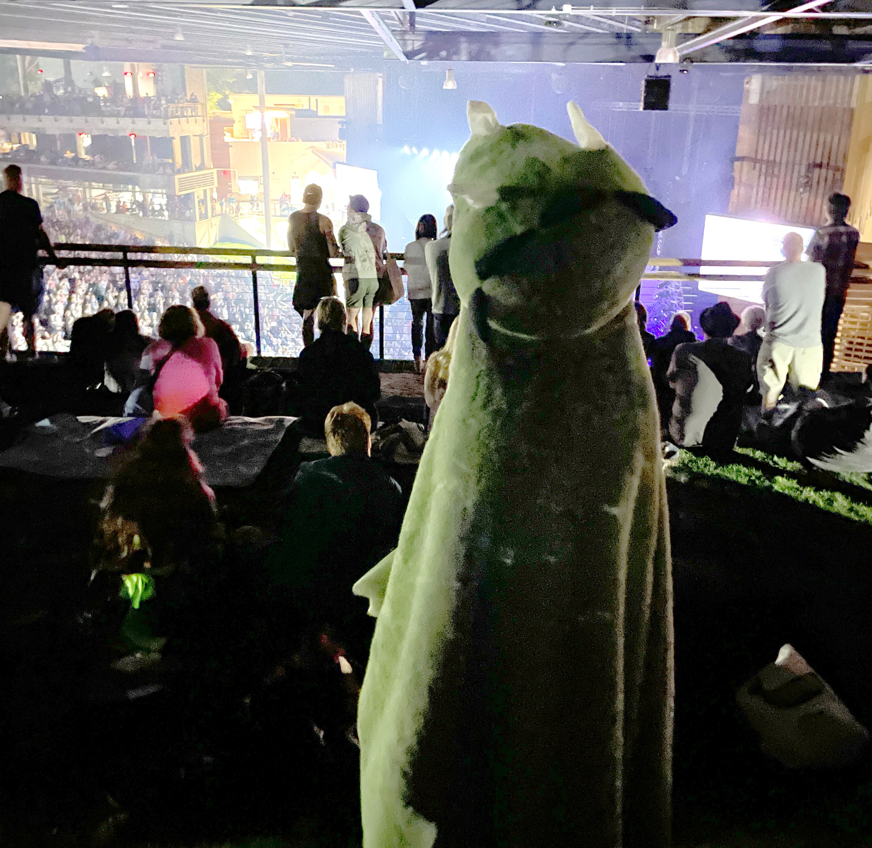A dinosaur-clad Brooks Streeter-Zervitz enjoying the scene of the Tears For Fears concert below at Merriweather Post Pavilion.