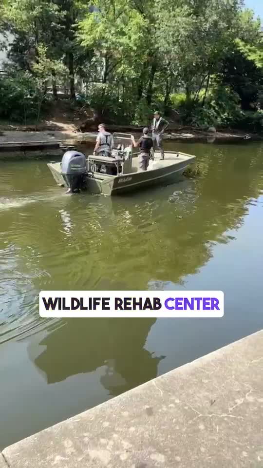 Update on the Baltimore Harbor oil spill